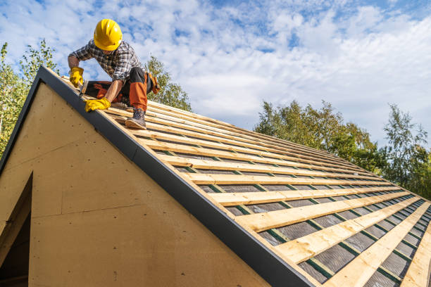 Roof Gutter Cleaning in Bethel Manor, VA